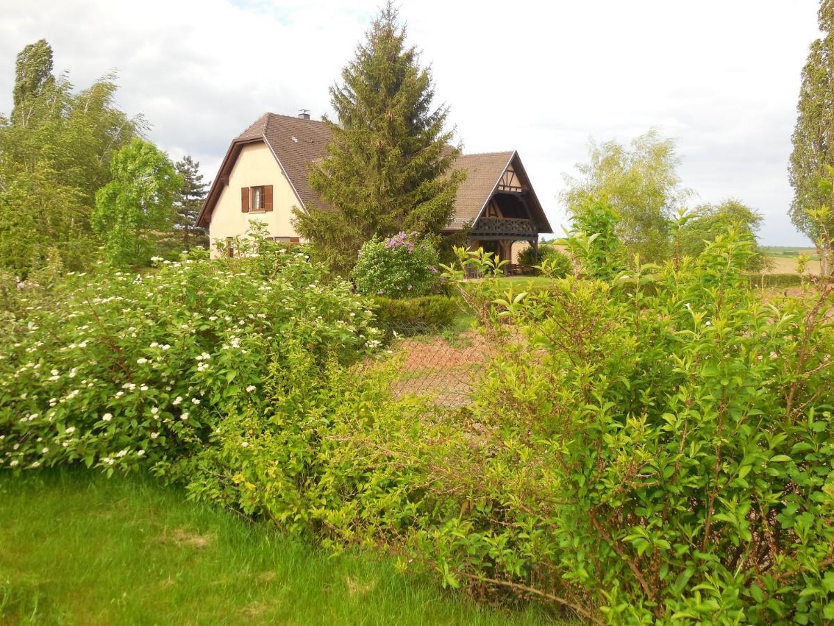 Appartement Charmant A Hochfelden 100 M² Et Parking Gratuit Gottesheim エクステリア 写真