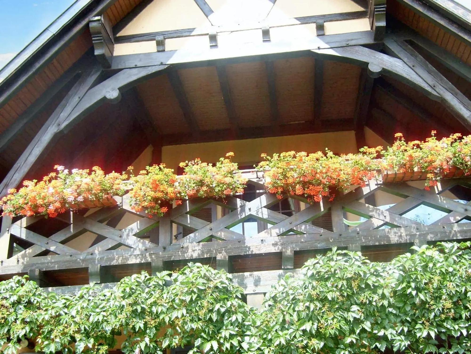 Appartement Charmant A Hochfelden 100 M² Et Parking Gratuit Gottesheim エクステリア 写真
